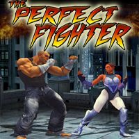 the-perfect-fighter.jpg